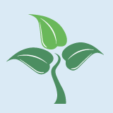 Deliberative forms of democracy and intergenerational sustainability dilemma
