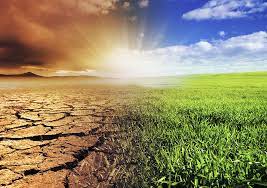 Environment