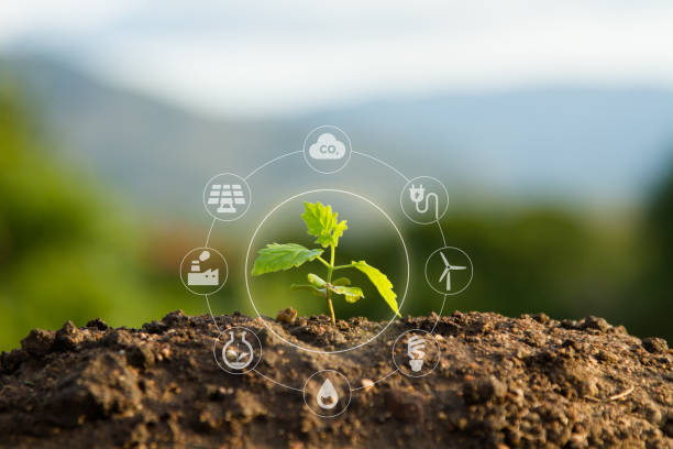 Sustainability